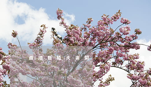 崩潰！新婚夫妻開(kāi)房疑被偷拍直播