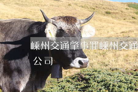 嵊州交通肇事罪(嵊州交通投资发展集团有限公司)