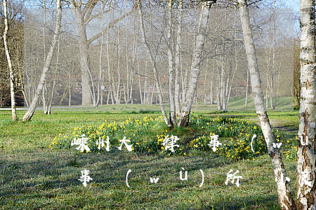 嵊州大豐律師事務(wù)所(嵊州大豐律師事務(wù)所陳小良)