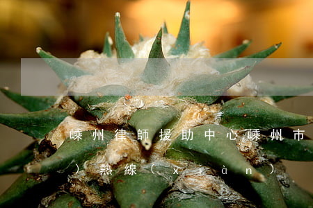 嵊州律師援助中心(嵊州市律師咨詢(xún)熱線(xiàn))
