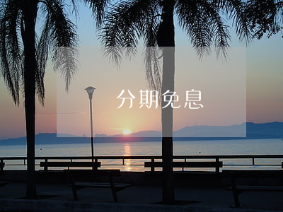 嵐圖分期免息嗎(嵐圖買車可以分期付款嗎)