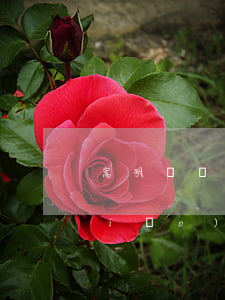 嵩明縣離婚糾紛律師收費(fèi)標(biāo)準(zhǔn)(嵩明縣律師事務(wù)所電話(huà))