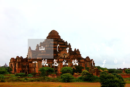嶗山區(qū)家產(chǎn)繼承律師一般怎么收費(fèi)