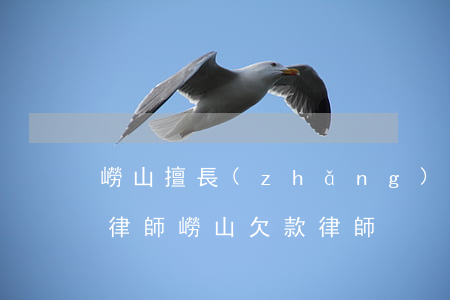 嶗山擅長(zhǎng)債務(wù)糾紛律師(嶗山欠款律師)