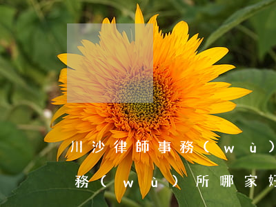 川沙律師事務(wù)所在哪里(川沙律師事務(wù)所哪家好)