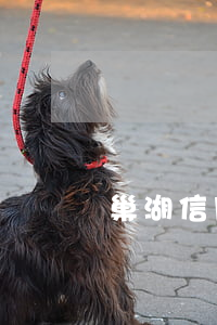 巢湖信用卡逾期律師(巢湖信用卡逾期律師)