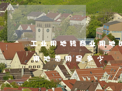 工业用地转商业用地的规定（工业用地转商业用地费用是多少）