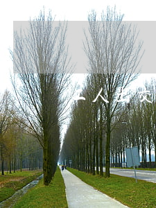 工人出交通事故全責(zé)