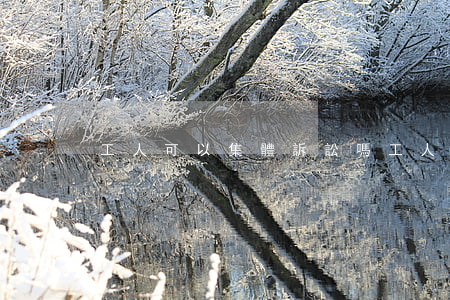 工人可以集體訴訟嗎(工人可以集體訴訟嗎)