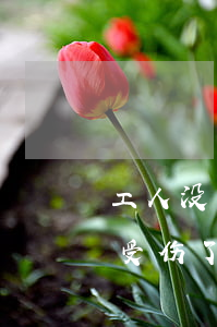 工人没有合同受伤了怎么赔偿(工人没有合同受伤了怎么赔偿)
