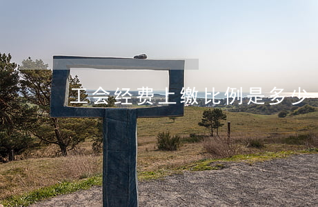 工会经费上缴比例是多少
