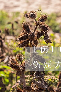 工伤10级大概赔偿下来多少钱(交通10级伤残大概赔偿多少)