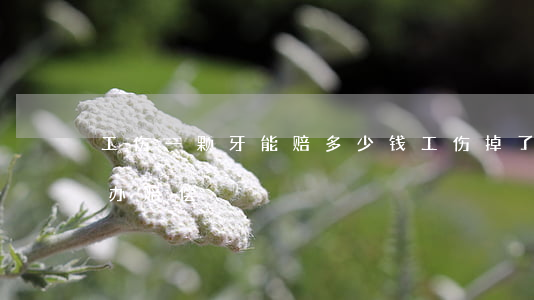 工伤一颗牙能赔多少钱(工伤掉了两颗牙怎么办赔偿)