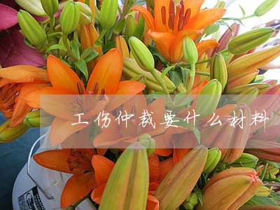 工伤仲裁要什么材料
