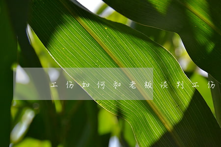 工伤如何和老板谈判，工伤如何跟老板谈判