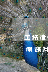 工伤律师--意外险怎么赔？看评残标准比例赔付的法律认定