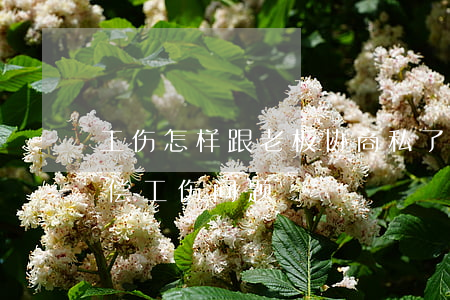 工伤怎样跟老板协商私了(怎样和老板协商赔偿工伤问题)