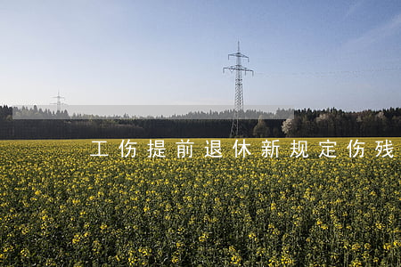 工伤提前退休新规定(伤残提前退休)
