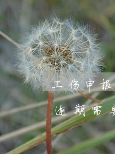 工伤申报逾期需要承担什么责任-工伤申报逾期需要承担什么责任呢