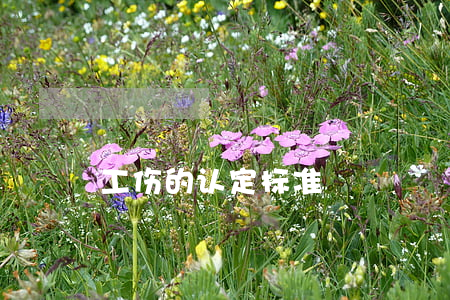 工伤的认定标准