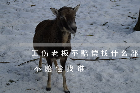 工伤老板不赔偿找什么部门解决快(工伤老板不赔偿找谁)