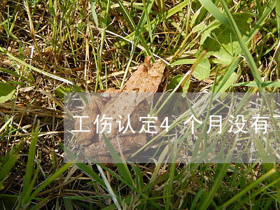 工伤认定4个月没有下来怎么办