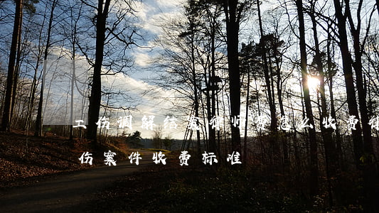 工伤调解结案律师费怎么收费(律师事务所工伤案件收费标准)