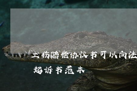 工伤赔偿协议书可以向法院起诉吗(工伤赔偿起诉书范本)