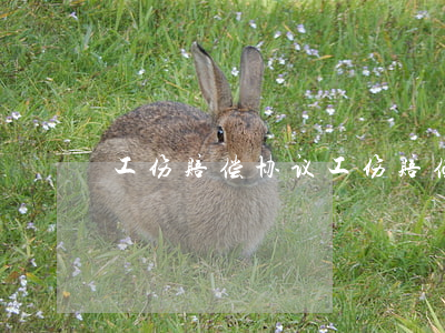 工伤赔偿协议(工伤赔偿协议书模板)