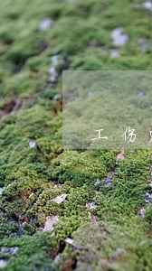 工伤赔偿如逾期不能支付