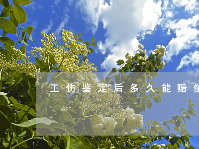 工伤鉴定后多久能赔偿