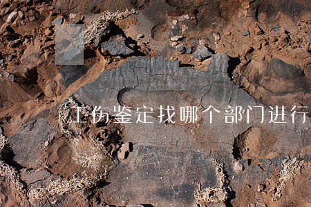 工伤鉴定找哪个部门进行