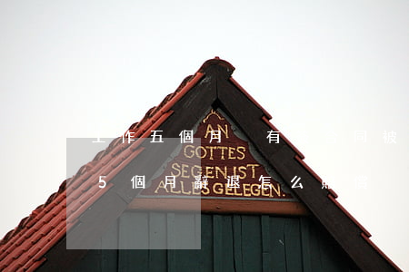 工作五個月沒有簽合同被辭退有補償嗎(上班5個月辭退怎么賠償,沒簽合同)