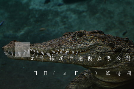 工作信用卡逾期后果(公司推遲發(fā)工資導(dǎo)致信用卡逾期)