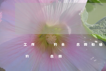 工作兩個月未簽合同如何給我賠償(工作兩個月沒簽合同)