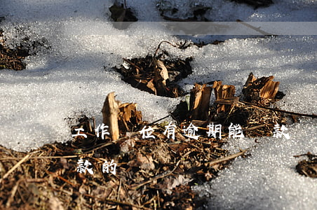工作單位有逾期能貸款嗎(還在逾期中可以貸款的)