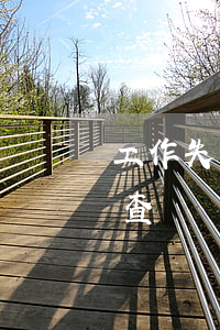 工作失誤檢查怎么寫(工作犯了錯誤怎么寫檢查)