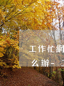 工作忙網(wǎng)貸逾期電話接不了怎么辦-工作忙網(wǎng)貸逾期電話接不了怎么辦呢