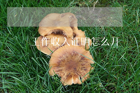 工作收入证明怎么开