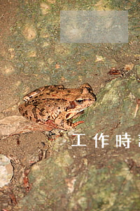 工作時誤傷工友被辭退怎么辦
