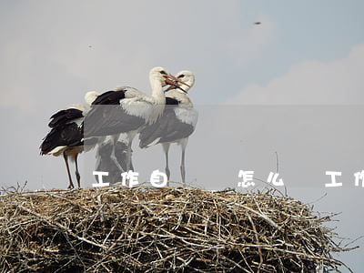 工作自訴狀怎么寫(工作自訴狀怎么寫)