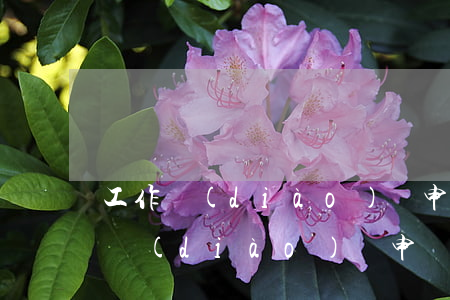 工作調(diào)動申請書范文(工作單位調(diào)動申請書怎么寫)