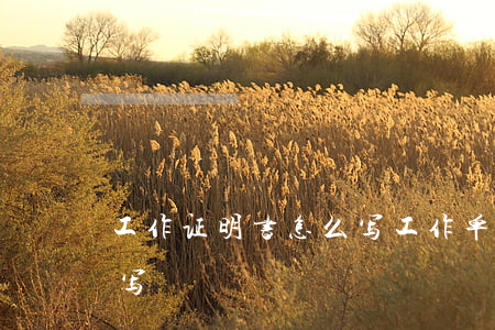 工作证明书怎么写，工作单位工作证明书怎么写