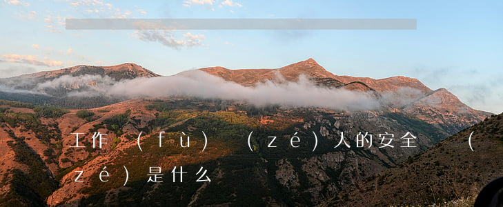 工作負(fù)責(zé)人的安全職責(zé)是什么