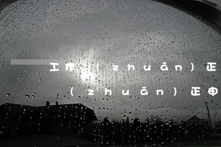 工作轉(zhuǎn)正申請(qǐng)(轉(zhuǎn)正申請(qǐng)自我總結(jié))