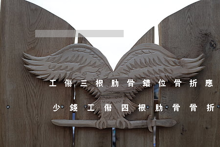 工傷三根肋骨錯位骨折應(yīng)賠多少錢?(工傷四根肋骨骨折賠幾萬)