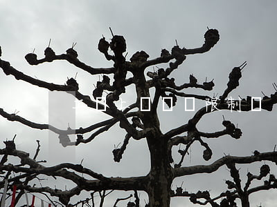 工傷上報時間限制嗎