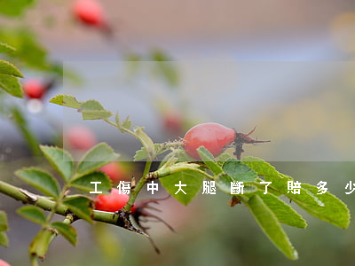 工傷中大腿斷了賠多少錢