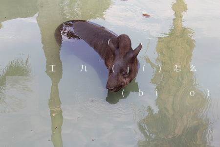 工傷九級(jí)怎么賠償(九級(jí)工傷賠償標(biāo)準(zhǔn))
