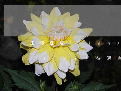 工傷保險(xiǎn)待遇有哪些(工傷保險(xiǎn)待遇有哪些)